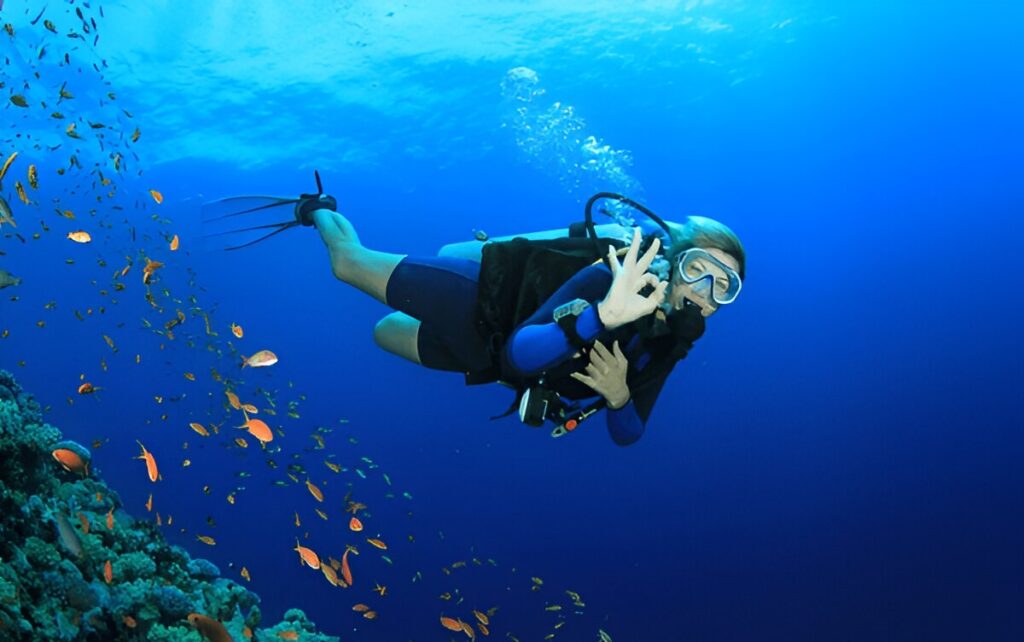 open water scuba certification